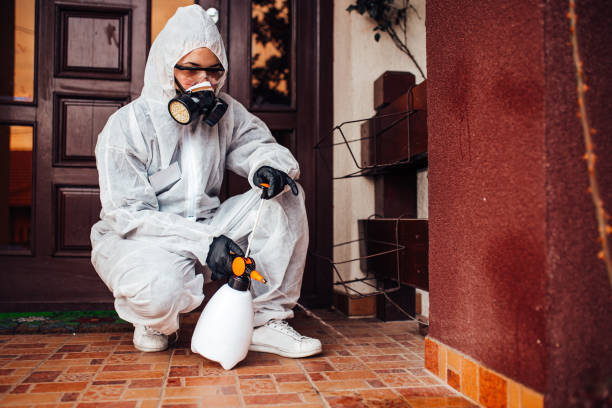 Reliable Bed Bug Control contractor in West Miami, FL by Nex Pest Control